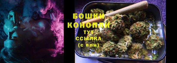 spice Осташков